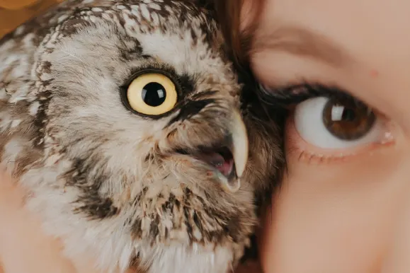 Casino AllStar Slots Assistance